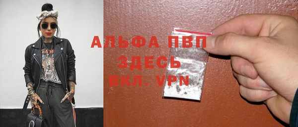 гидра Гусев