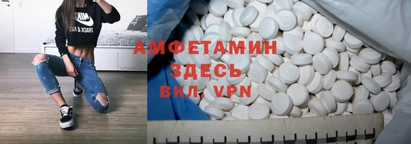 гидра Гусев