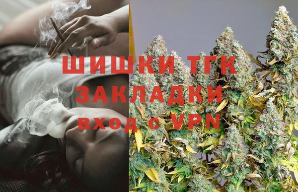 гидра Гусев