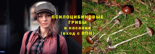 гидра Гусев