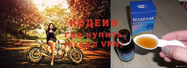 гидра Гусев