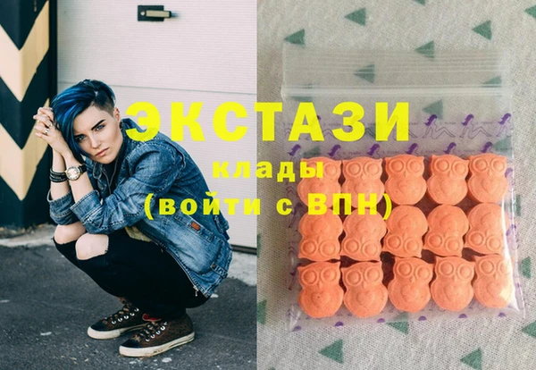 тгк Дмитриев