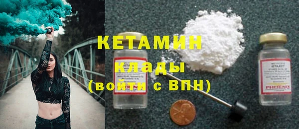индика Ельня