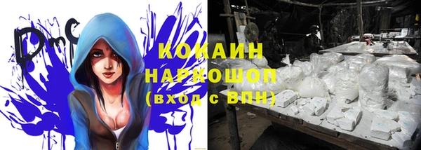 тгк Дмитриев