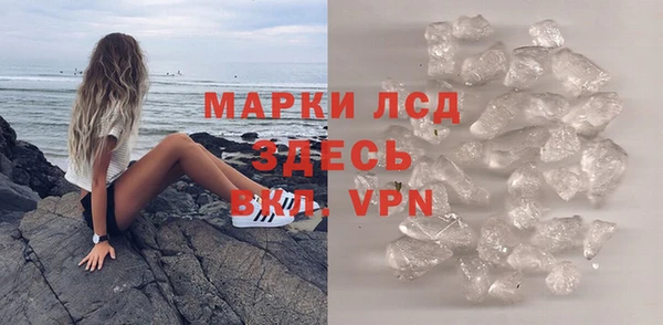 гидра Гусев