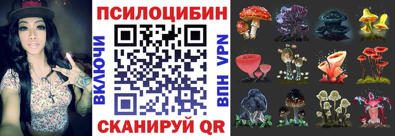 Галлюциногенные грибы Magic Shrooms  Купить  Куйбышев 